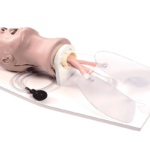 Lifeform® Airway Larry Entübasyon Mankeni Yetişkin