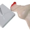 Uterus Maketi